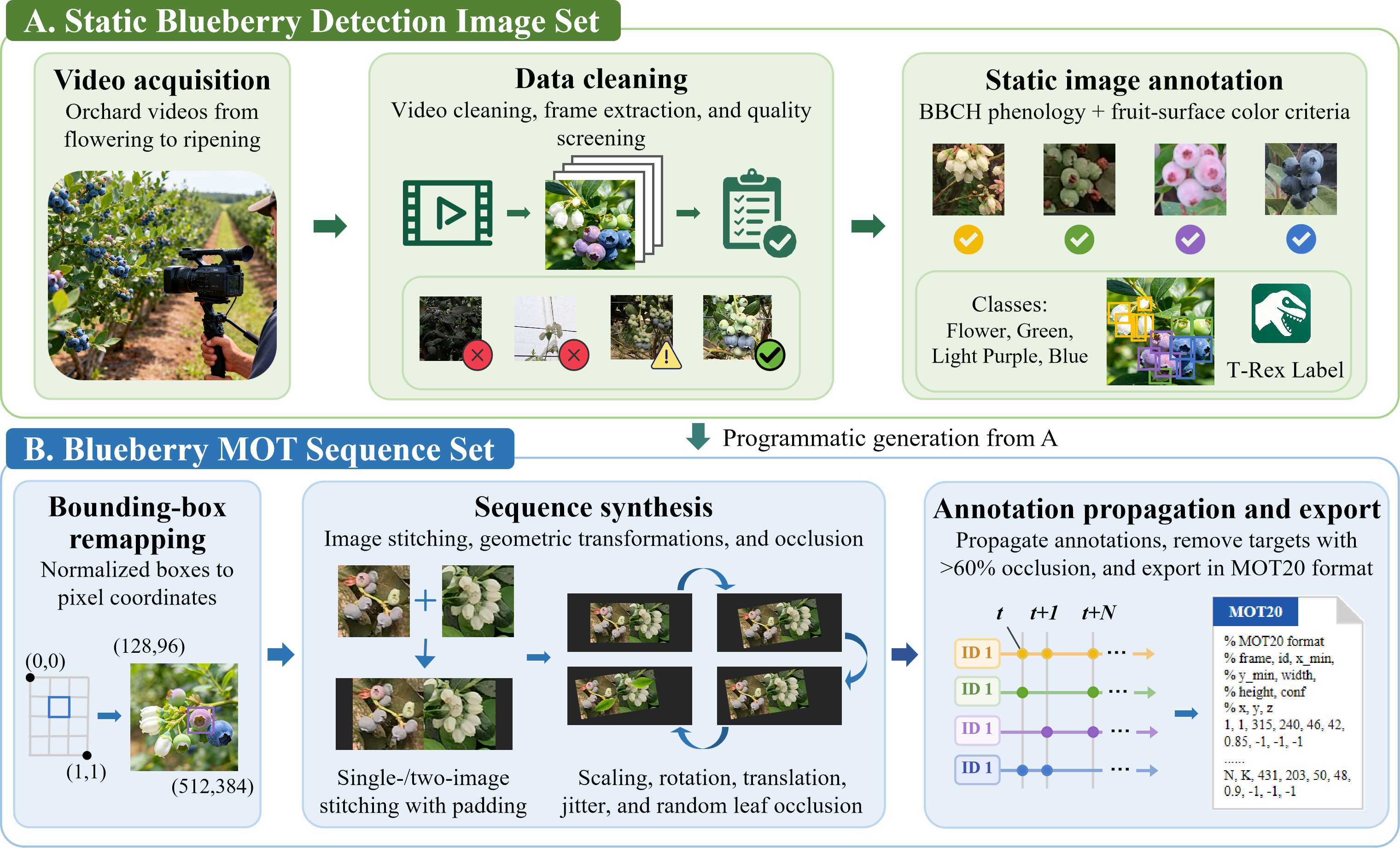 Dataset